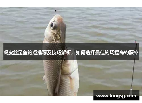 虎皮丝足鱼钓点推荐及技巧解析，如何选择最佳钓场提高钓获率