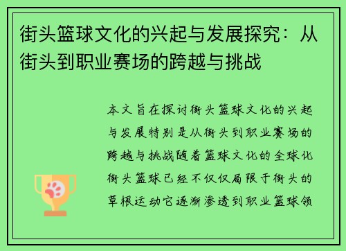 街头篮球文化的兴起与发展探究：从街头到职业赛场的跨越与挑战